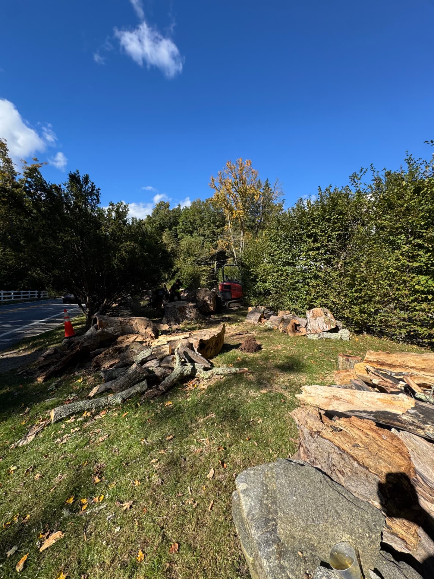 Cleared grounds following Lemus tree cleanup